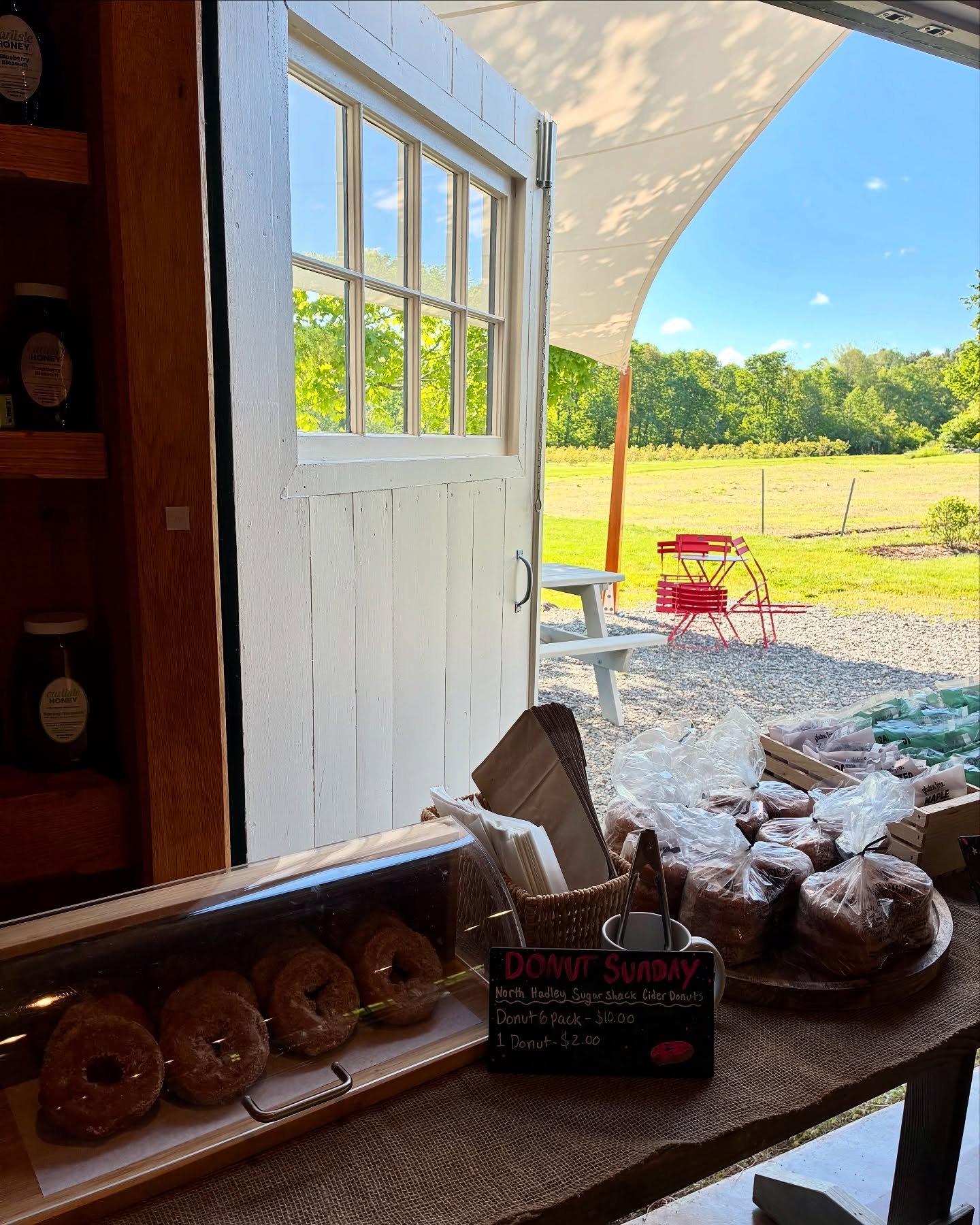 Donuts with a view 🍩🌾 what could be better? 
.
Welcome to Donut Sunday ~~
this week we have a variety of donuts from @holydonutmaine &amp; apple cider donuts from @northhadleysugarshack &hellip;and of course fresh coffee, hot or iced 🧡